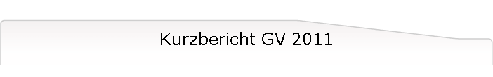 Kurzbericht GV 2011